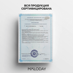Комплекс железа Iron complex with vitamins, 60 капсул | MOLODAY