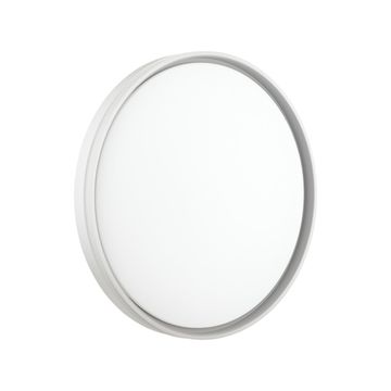 Настенно-потолочный светильник 48W 3000-6000K 7631/DLN белый/серый PALE Savi Sonex