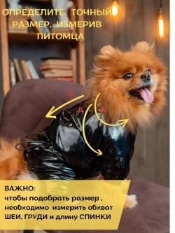 Комбинезон для мелких и средних собак