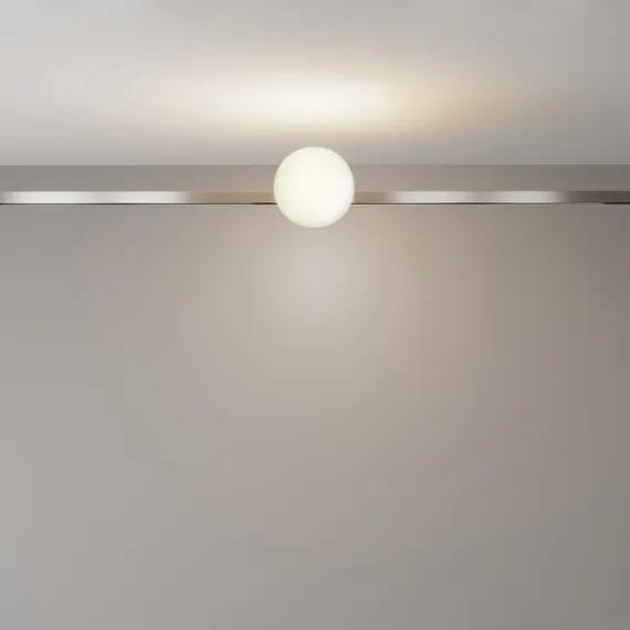 Трековый светильник Luna TR229-1-5W3K-PT Maytoni