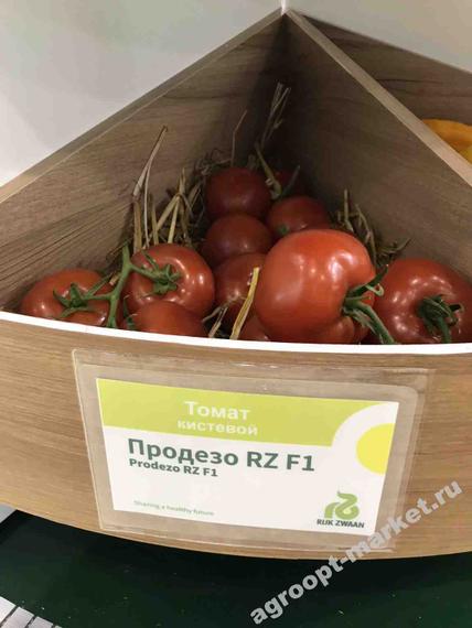 Продезо F1 — урожай томата, фото 3