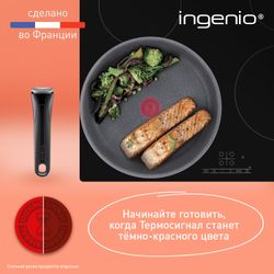 Сковорода Tefal Ingenio Natural Force 24 см L3960402