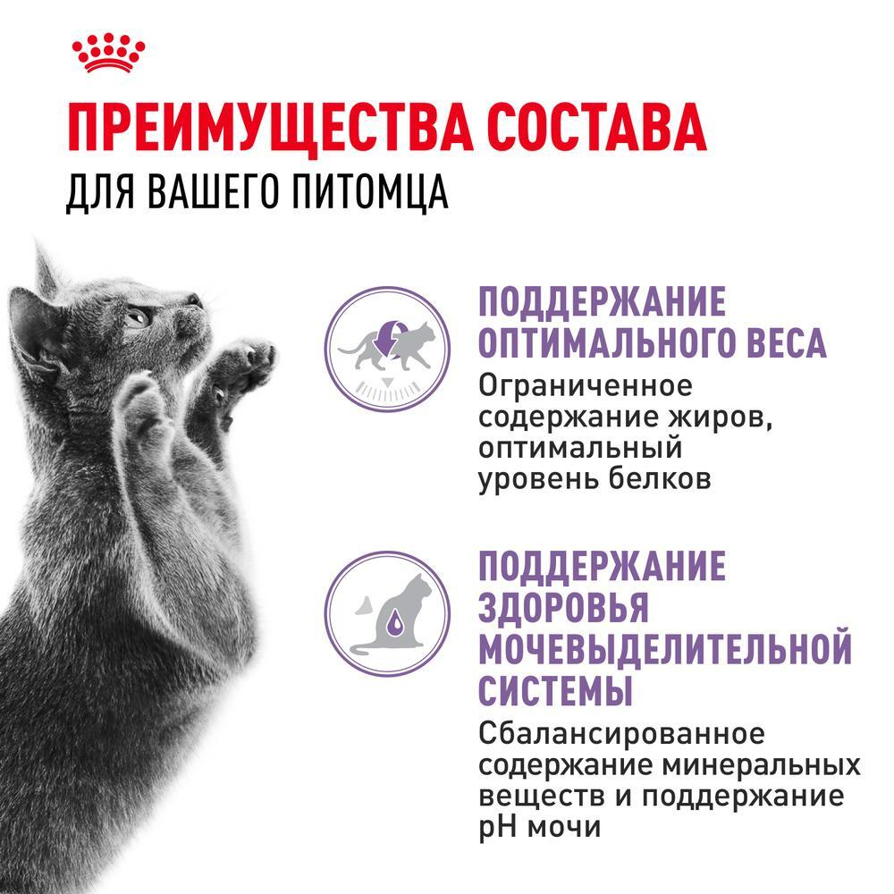 Кусочки в соусе, 85г влажный для стерилизованных кошек Royal Canin Sterilised