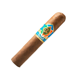 CAO Italia Novella