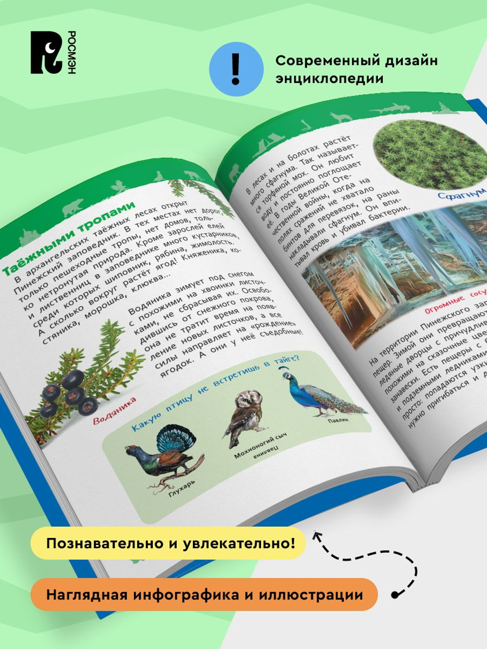 Чудеса родной природы (Энциклопедия для детского сада)