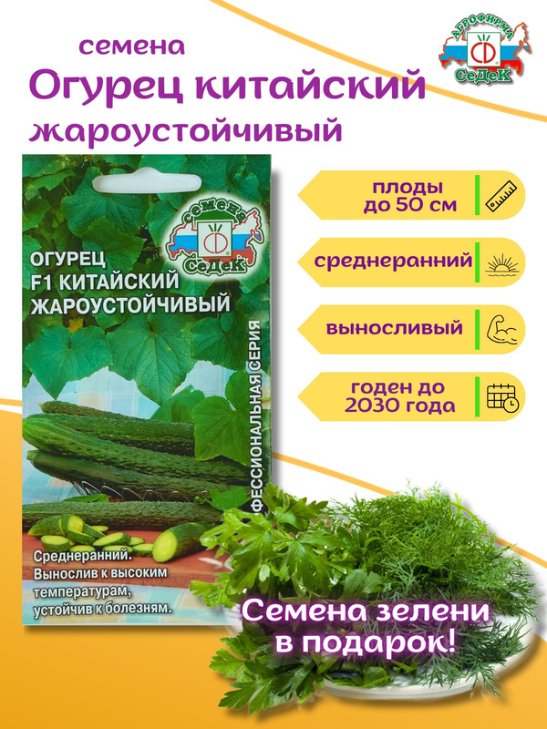 Огурцы китайские жароустойчивые, семена огурцов 0,2 г + семена петрушки или укропа в подарок