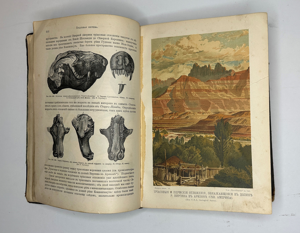 Неймар М. История Земли. СПб., Изд. Просвещение,1903г.,  в 2-х томах.