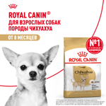 Royal Canin Chihuahua Adult Чихуахуа Эдалт Корм сухой для взрослых собак породы Чихуахуа от 8 месяцев 1,5кг