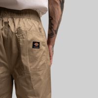  Брюки мужские Dickies Skateboarding Mount Vista Pant артикул:WPSK44DS - купить в магазине Дайс