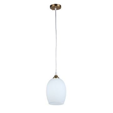 Подвесной светильник 1*Е27 A4344SP-1PB медь Propus Arte Lamp