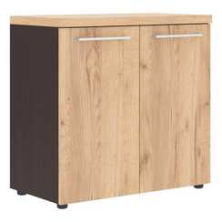 Шкаф с глухими малыми дверьми и топом ALC 85.1  850х456х834 ALTO
