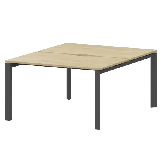 Бенч двойной на 2 рабочих места на металлокаркасе НТМП.П.Б2-120  1200x1496x750 Аргентум-МП
