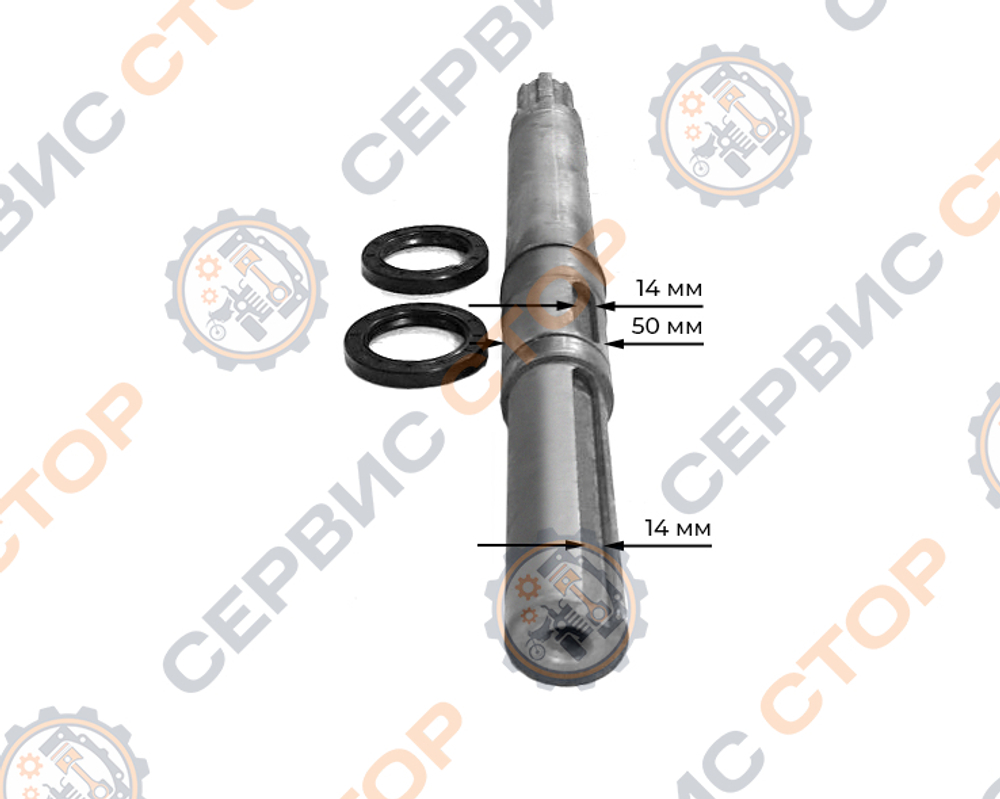 TA-244-1-Xingtai-2