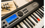 Casio LK-S450
