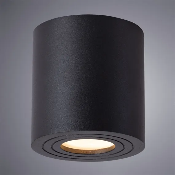 Потолочный светильник уличный Galopin A1460PL-1BK Arte Lamp