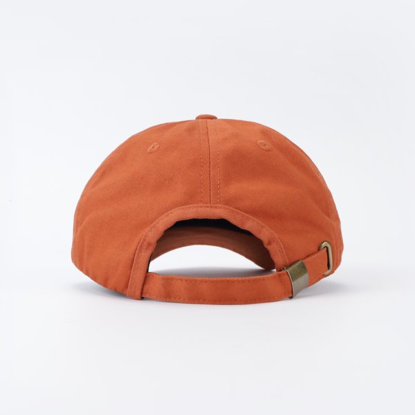 Кепка Anteater 6Panel (terrakot) артикул: - купить в магазине Дайс