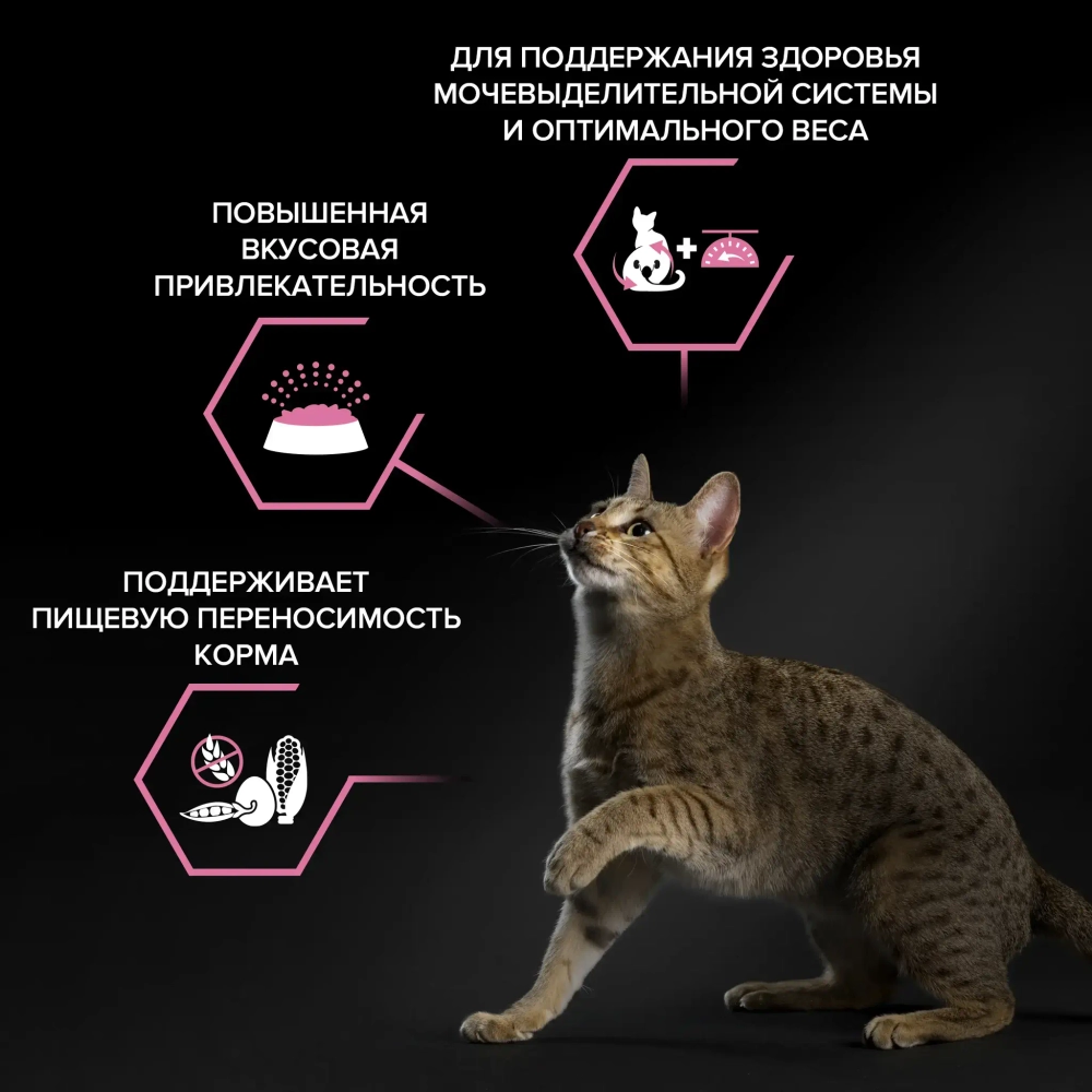 Сухой корм Курица, 400гр для взрослых стерилизованных кошек с чувствительным пищеварением Pro Plan Sterilised Delicate Digestion