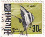 23 почтовых марки, Танзания, 1960-1970-е годы, Бабочки и рыбы