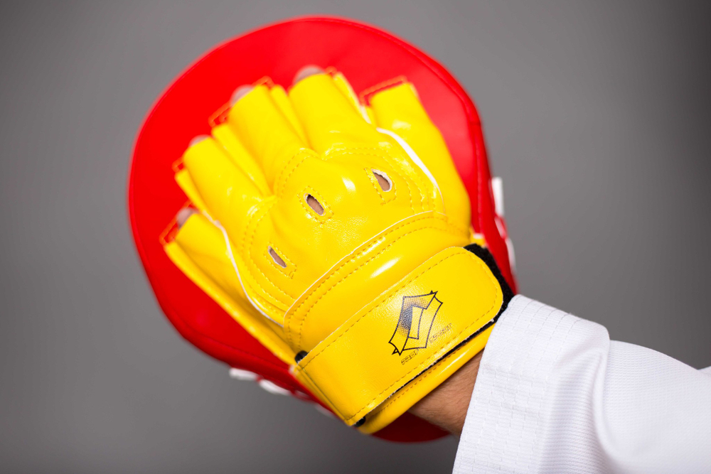 Лапа тренерская ProfSport для Тхэквондо