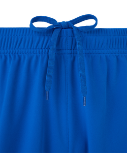 Шорты игровые Jogel DIVISION PerFormDRY Union Shorts, синий Z2