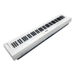 Beisite S-262 Pro