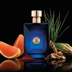 Versace Dylan Blue