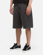 Шорты Anteater BaggyShorts Серый