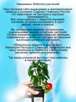 Перец Пятицветный домашний острый