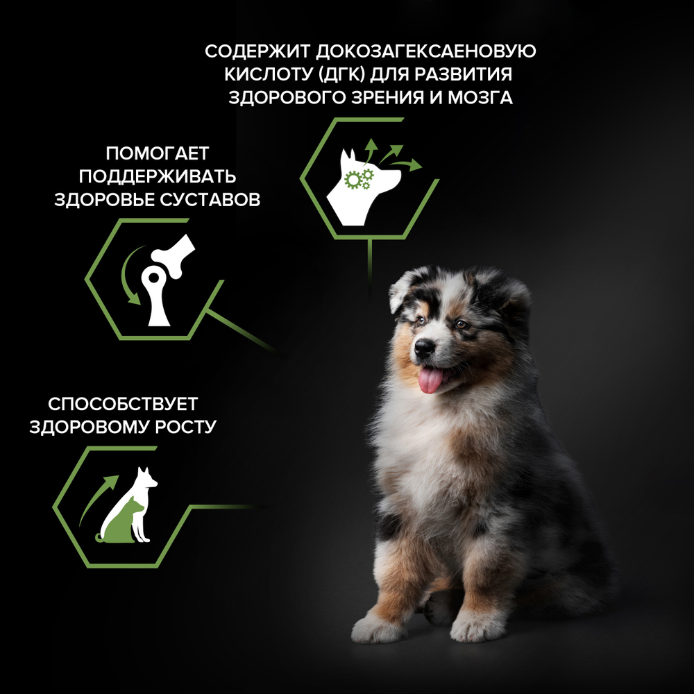 Сухой корм PRO PLAN HEALTHY START для щенков средних пород курица 12 кг