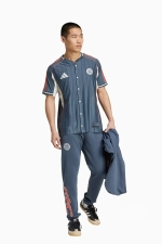 Футболка adidas FC Bayern 25/26 US - серый