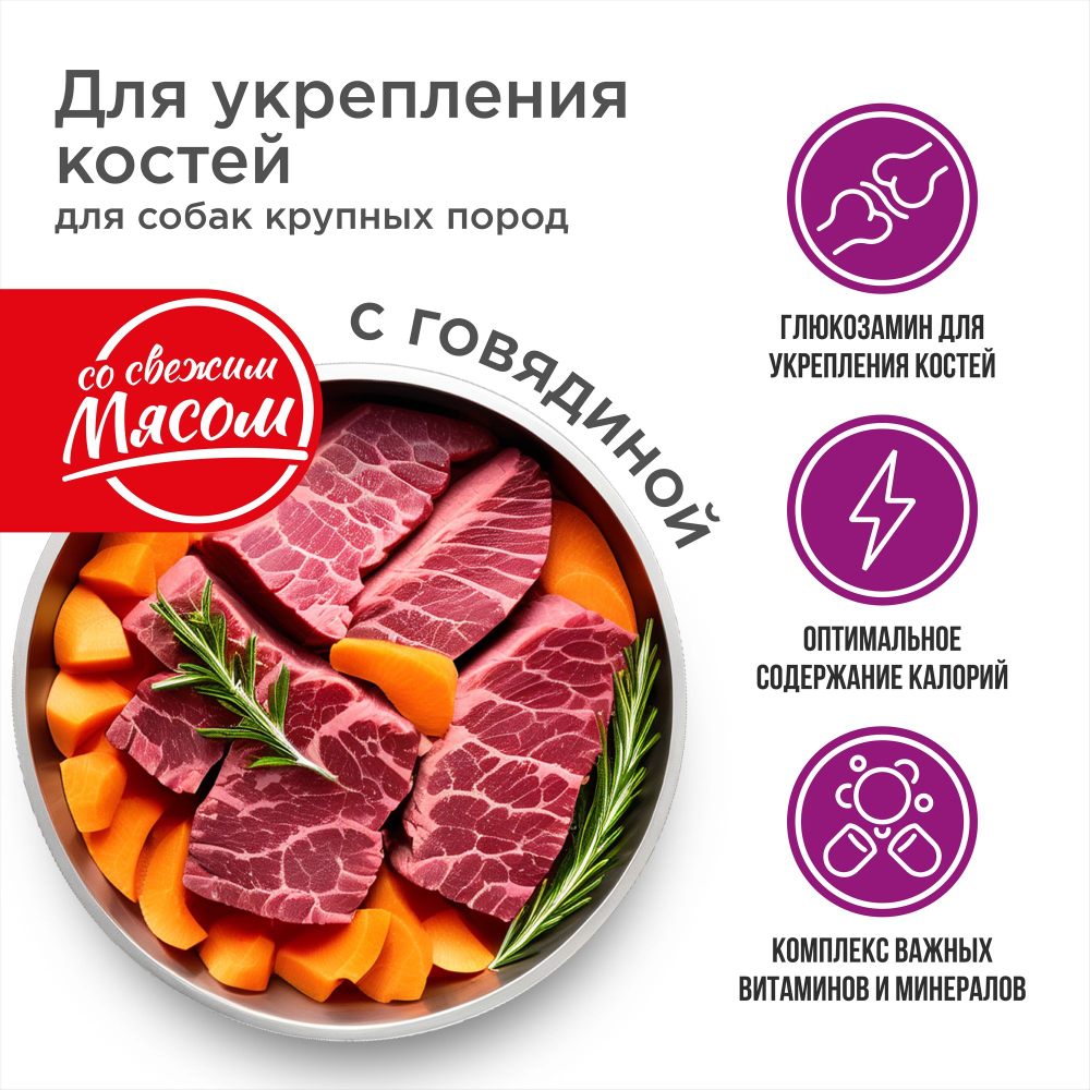 Корм сухой для взрослых собак крупных пород, премиум полнорационный комплекс, для укрепления костей у собак, с говядиной, 12 кг, QUATTRO