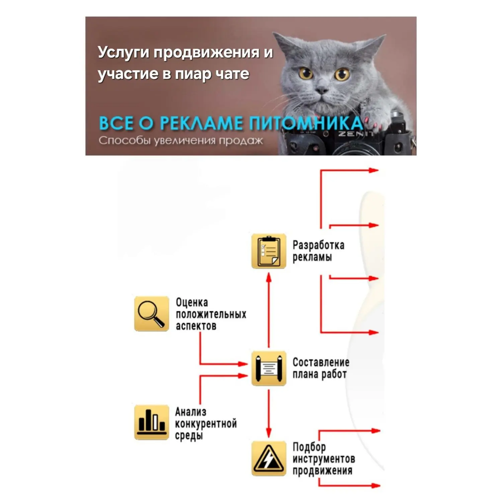 Всё о рекламе питомника. Бонус - безлимитный пиар чат для друзей и единомышленников.