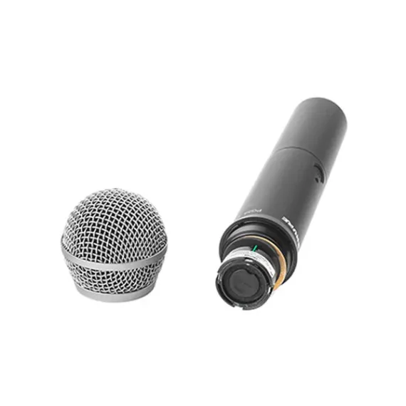 Shure BLX288E/PG58 M17