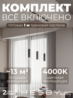 Комплект трековый Hesby Lighting Skylite No12 HSBL_kompl_S012_VI1B4K