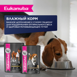 Сухой корм Eukanuba для взрослых собак мелких и средних пород старше 1 года с ягненком 3 кг