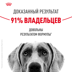 Royal Canin Medium Dermacomfort Корм сухой для взрослых собак средних размеров при раздражениях и зуде кожи - 3 кг