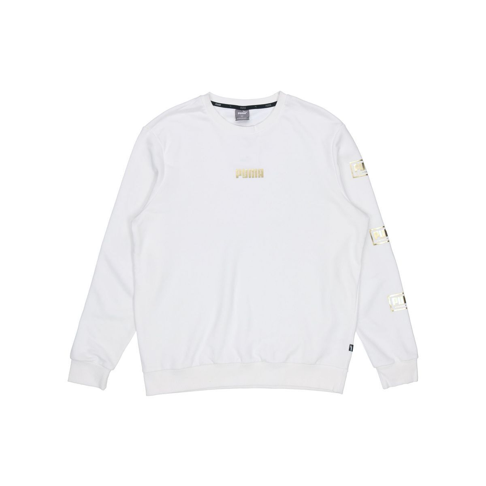Толстовка Puma Holiday logo, 586348-02