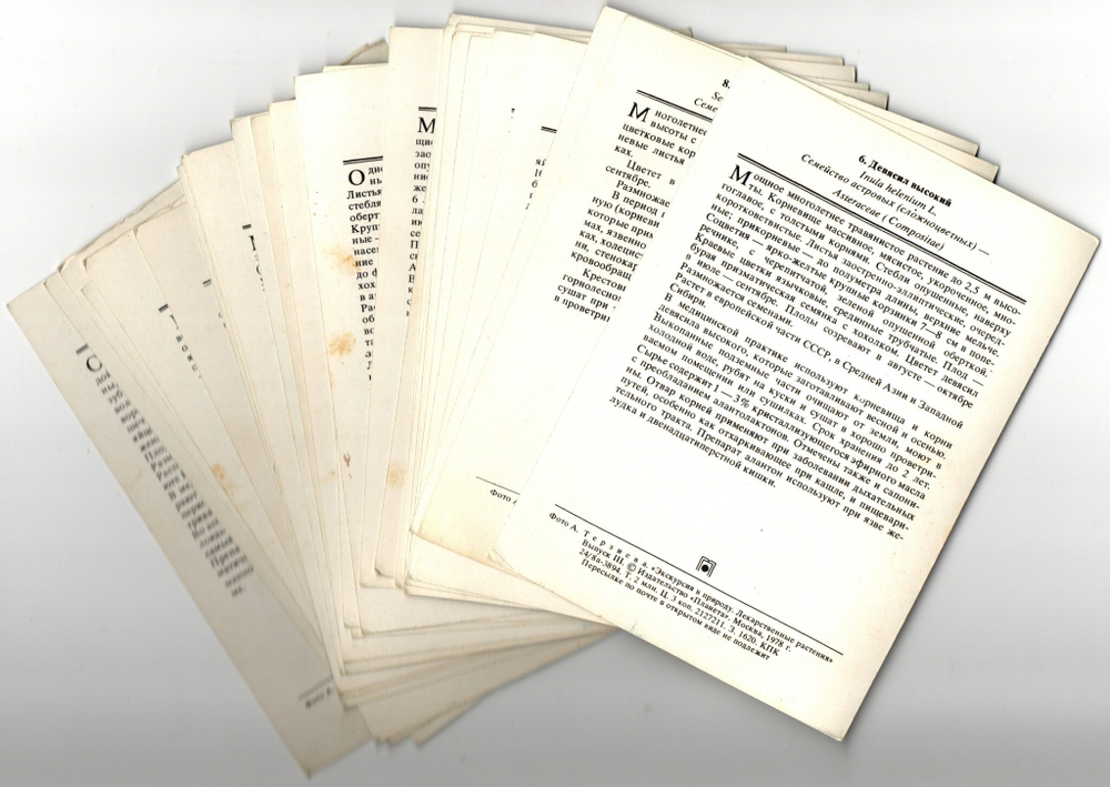 Лекарственные растения набор из 25 карточек, Экскурсия в природу, СССР 1978 год