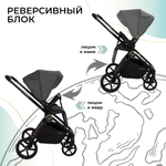 Коляска 2в1 Stella Plus Therma Dark Grey