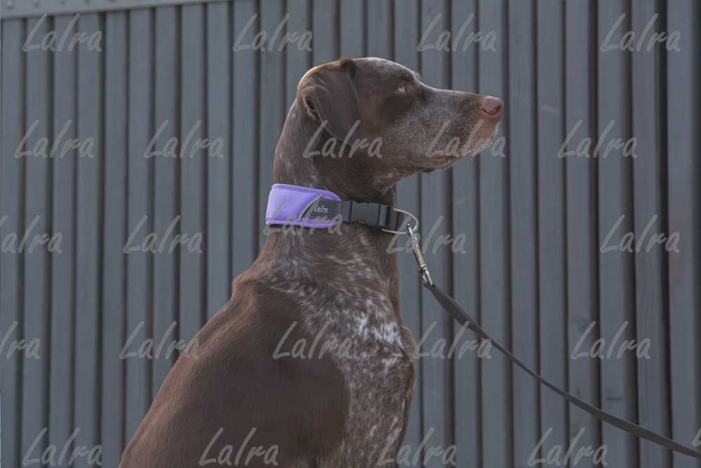 Ошейник для собак модель 817