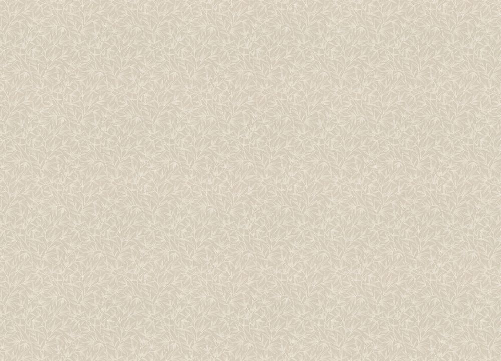 Novella