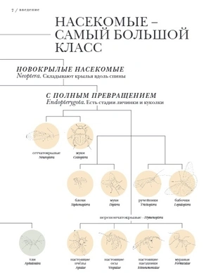 Поразительные насекомые. Книга про подземных математиков, мастеров блефа, дружных кочевников, зомби