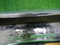 DSCN8080.JPG