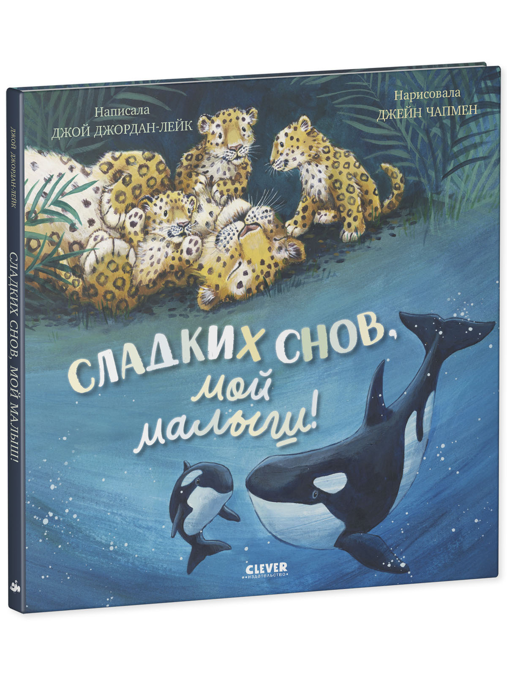 Книжки-картинки. Сладких снов, мой малыш!