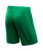 Шорты игровые CAMP Classic Shorts, зеленый/белый