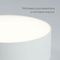 Потолочный светодиодный светильник Feron Simple matte AL200 48078
