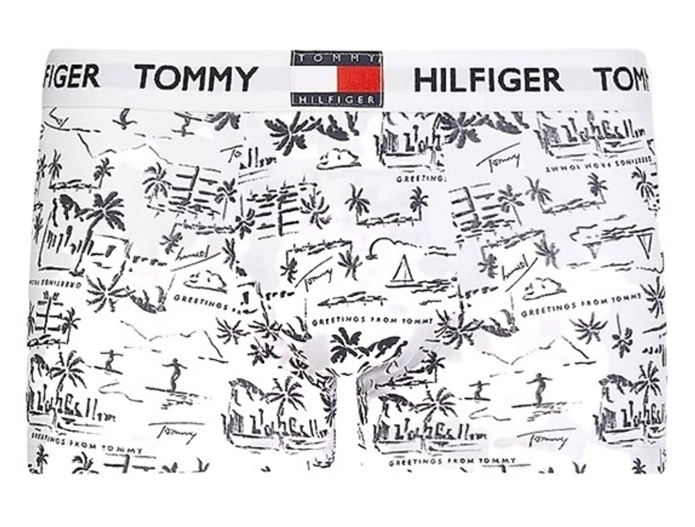 Мужские спортивные боксеры Tommy Hilfiger Trunk Print 1P - greetings white