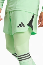 Леггинсы adidas Tiro 25 Pro Goalkeeper - зеленый