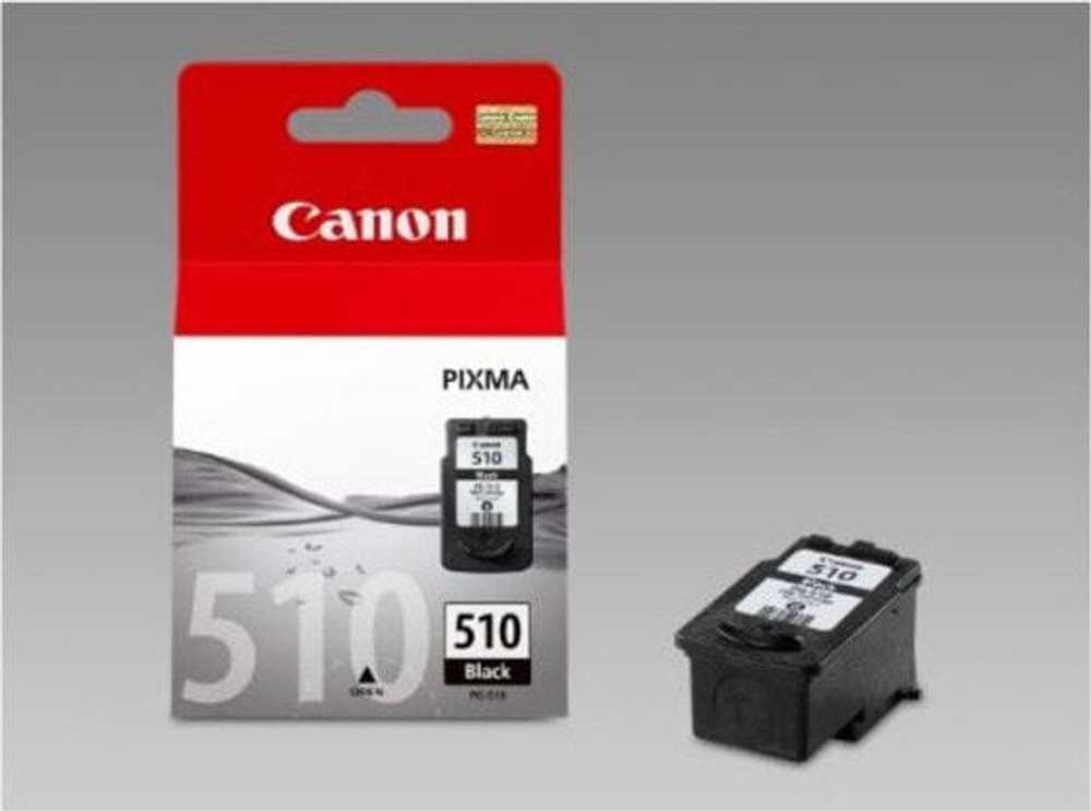 Картридж струйный черный 1 шт Canon CCICTO0243 2970B001