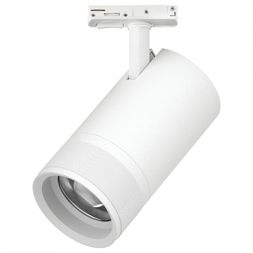 Светильник на штанге Lightstar Canno Pro C4406SS
